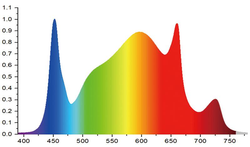 Full spectrum | Vollspektrum