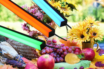 Lichtleiste Indoor Dionysus