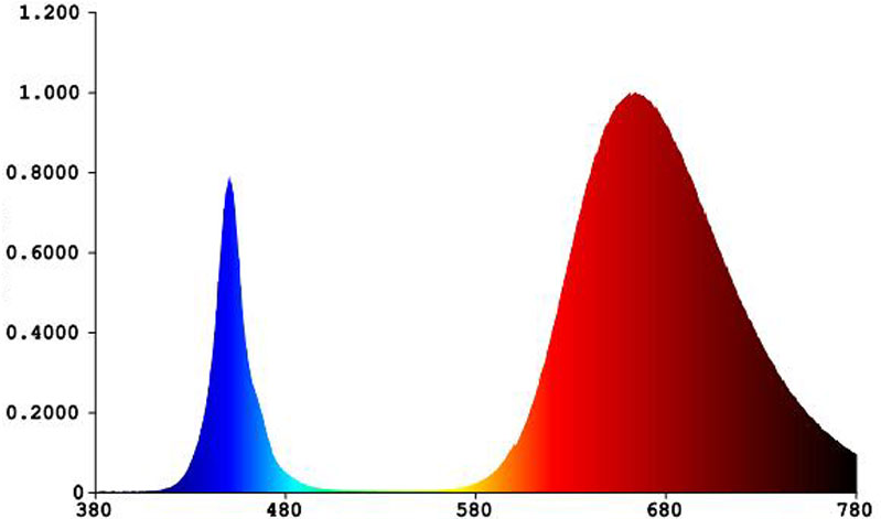 Chlorophyll optimiert