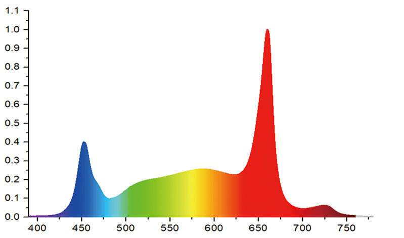 Blütezeit optimiert