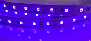 LED UV Streifen / UVA LED Streifen | Schwarzlicht LED