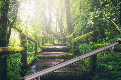 Aquarium LED-Leiste Jungle Sun