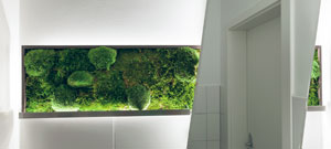 Ambiente im Bad mit LED-Beleuchtung