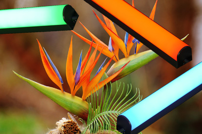 Lichtleiste Indoor Paradisus