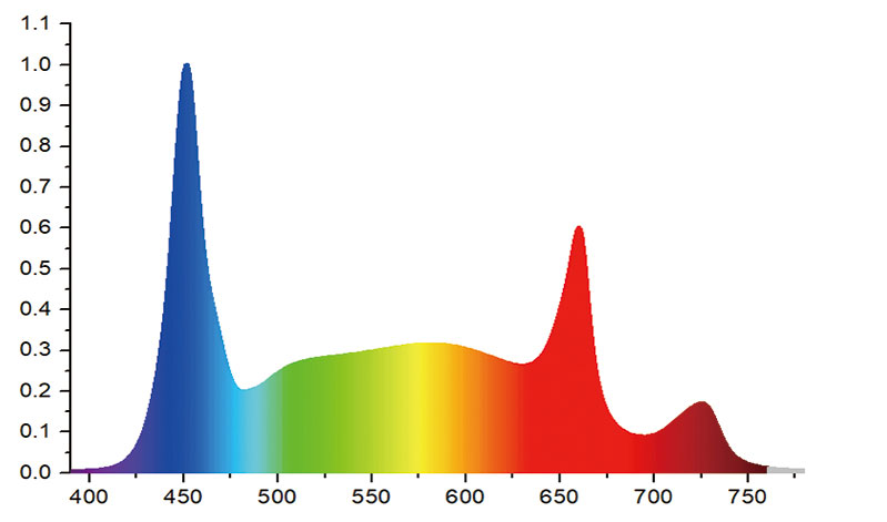 Seeding and massgrow optimized | Aussaat und Massenanbau