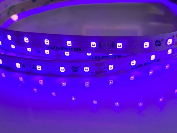 LED-Streifen 70LEDs/m, UV 395-400nm 4700mW/m, IP20 300LSE tape, 14.4W/m 24V