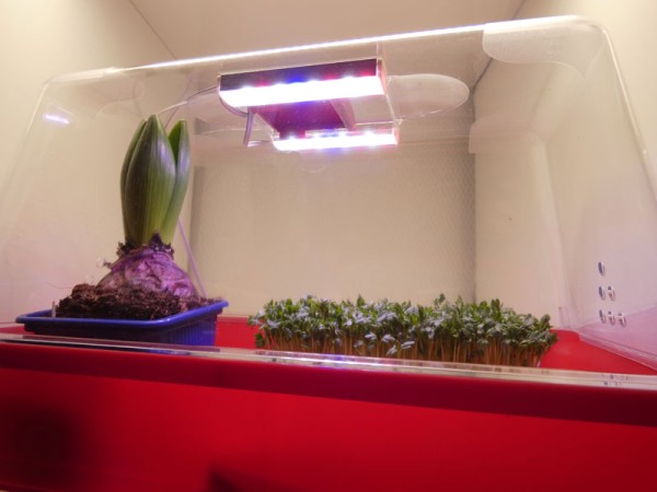 led-xs-set_03